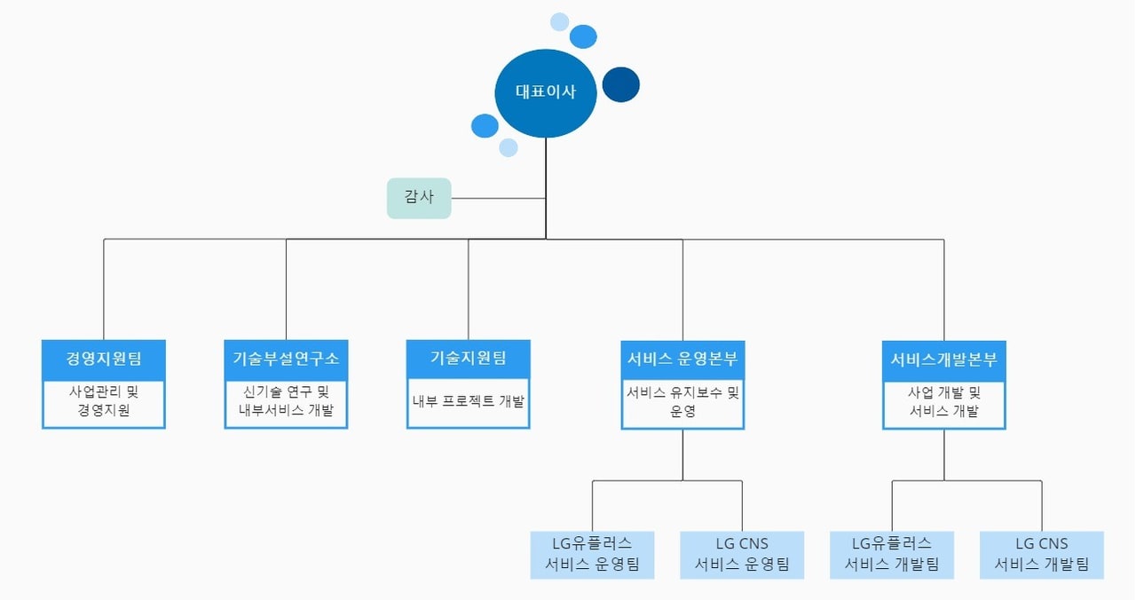 이커머스테크 조직도 — 대표이사 아래 감사, 그리고 경영지원팀·기술부설연구소·기술지원팀·서비스 운영본부·서비스개발본부로 구성. 서비스 운영본부는 LG유플러스 서비스 운영팀과 LG CNS 서비스 운영팀, 서비스개발본부는 LG유플러스 서비스 개발팀과 LG CNS 서비스 개발팀을 둔다.